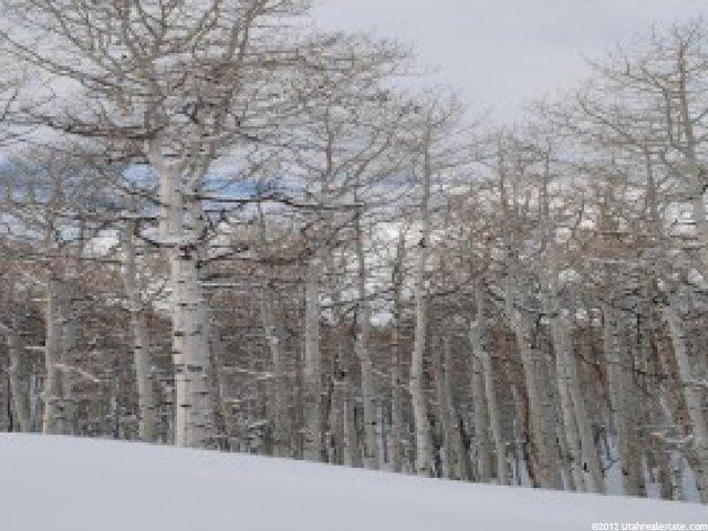 503 N Trappers Loop #63, Woodland, UT 84036 — photo 2