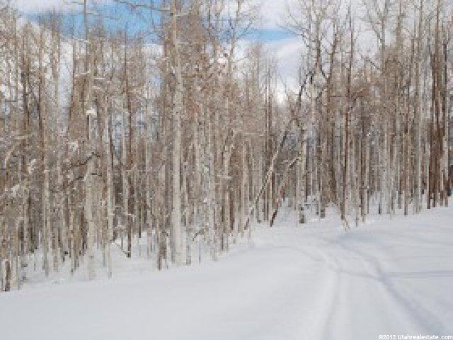 503 N Trappers Loop #63, Woodland, UT 84036 — photo 12