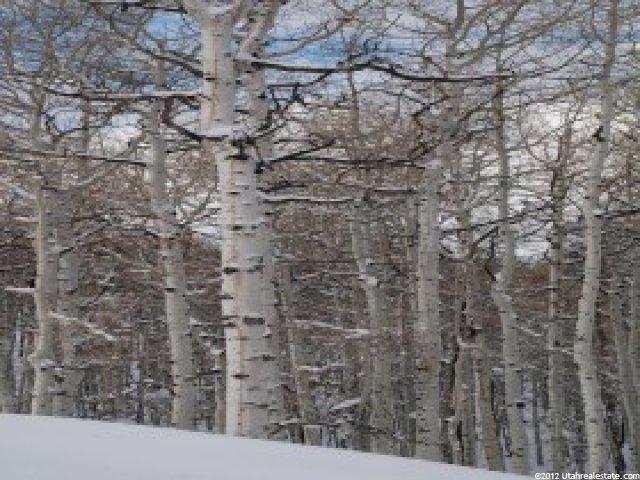 503 N Trappers Loop #63, Woodland, UT 84036 — photo 3