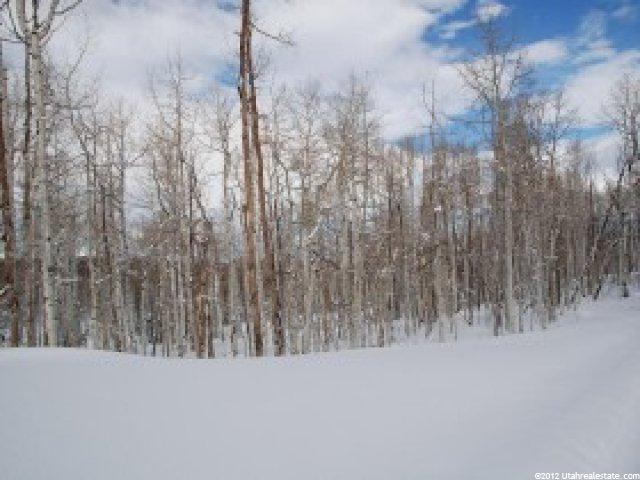 503 N Trappers Loop #63, Woodland, UT 84036 — photo 4