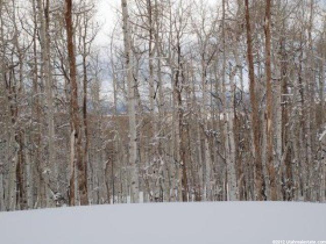 503 N Trappers Loop #63, Woodland, UT 84036 — photo 5