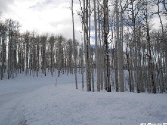 503 N Trappers Loop #63, Woodland, UT 84036 — photo 10