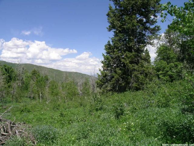 613 W Forgotten Ln #D99, Wanship, UT 84017 — photo 2
