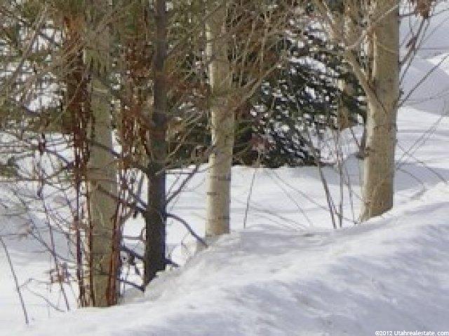 1900 W Midway Ln, Midway, UT 84049 — photo 4