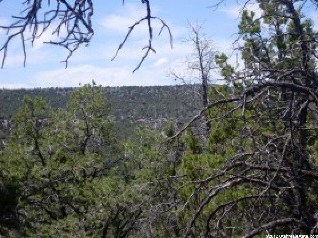 1300 S Fish Hatchery Rd, Hatch, UT 84735 — photo 5