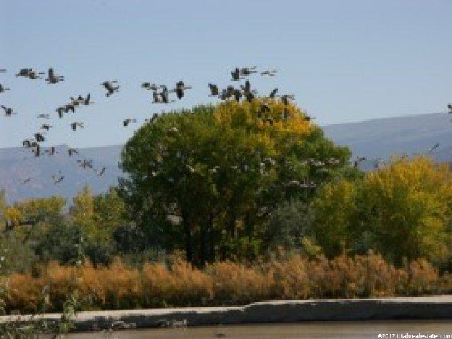3285 S Hiway 149 E, Jensen, UT 84035 — photo 2