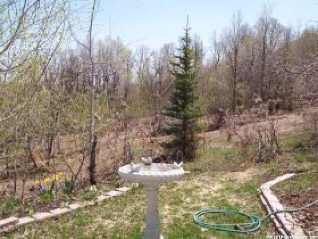 2594 N Viking Dr, Eden, UT 84310 — photo 7