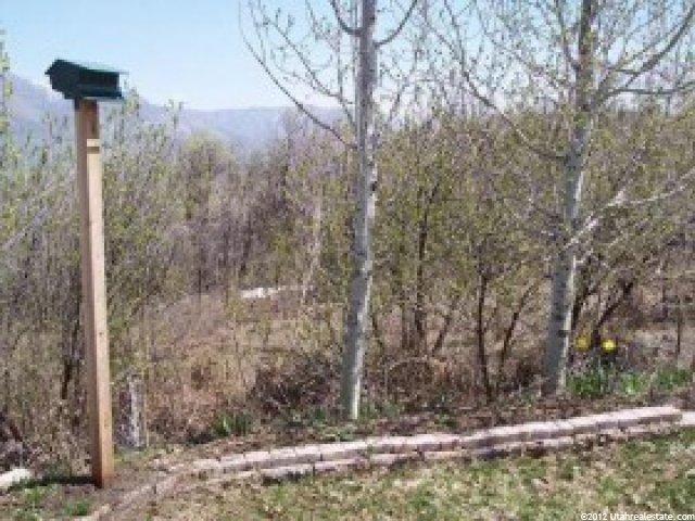 2594 N Viking Dr, Eden, UT 84310 — photo 8