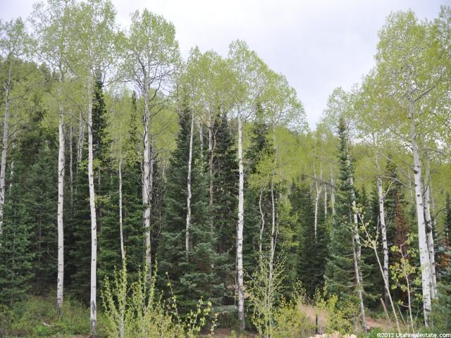 775 Uintah Dr, Oakley, UT 84055 — photo 2