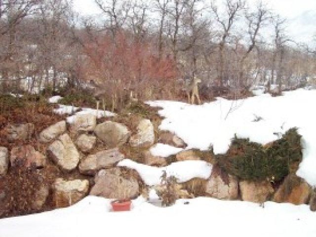 2264 N 2650 E, Layton, UT 84040 — photo 12