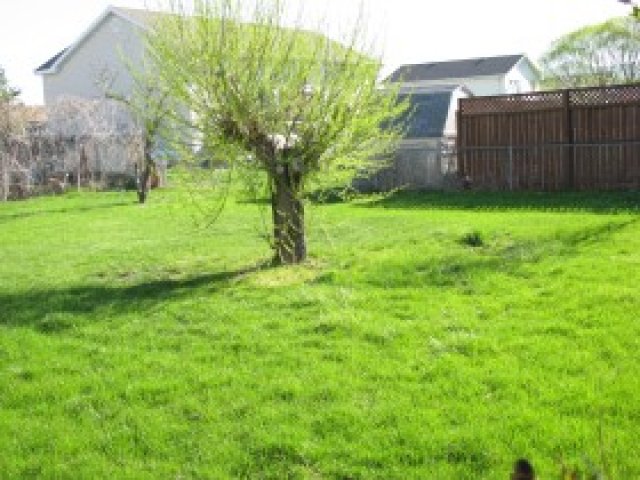 685 S 534 W, Tremonton, UT 84337 — photo 9