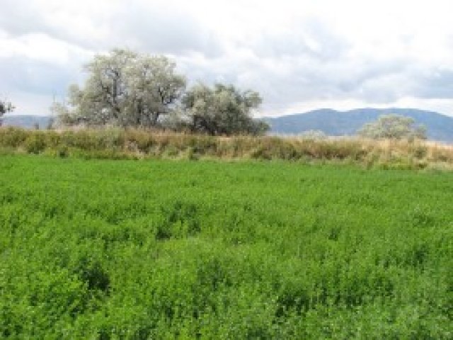1121 N 800 W, Preston, ID 83263 — photo 3