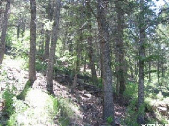 2056 Samak Park Loop #23, Kamas, UT 84036 — photo 4