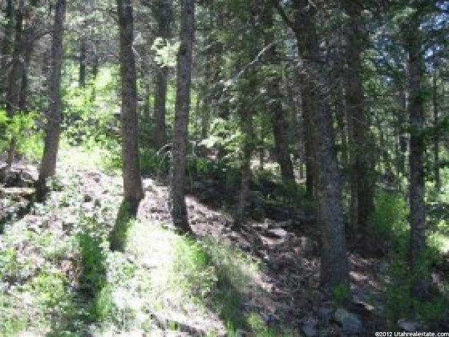 2056 Samak Park Loop #23, Kamas, UT 84036 — photo 5