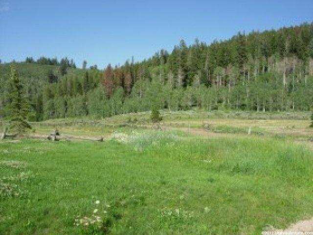 16790 S Summit Dr, Daniel, UT 84032 — photo 9
