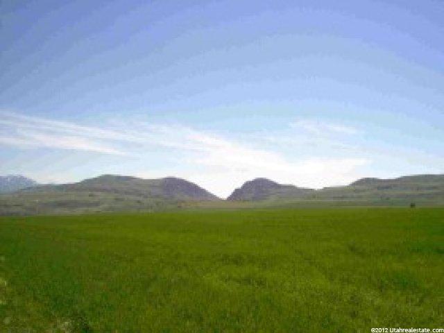 7687 N Highway 142, Newton, UT 84327 — photo 6
