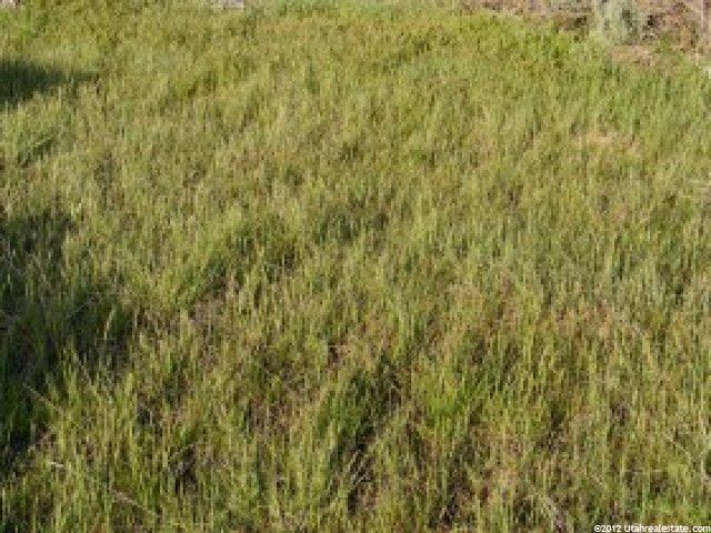 4100 N Hwy 100, Flowell, UT 84631 — photo 4