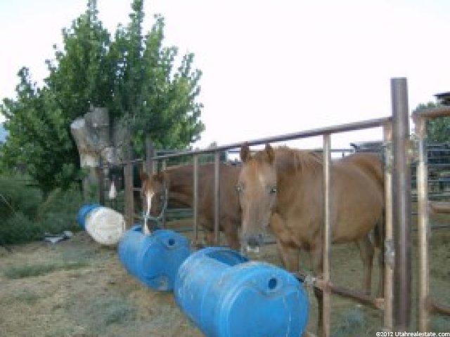 4987 W 11950 S, Payson, UT 84651 — photo 7