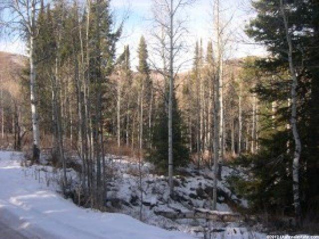 512 Blue Spruce Dr #512, Oakley, UT 84055 — photo 4