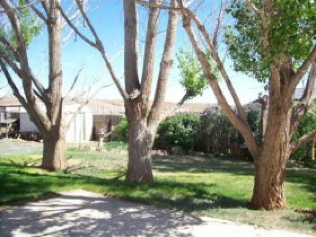 864 N 1930 E, Ballard, UT 84066 — photo 9