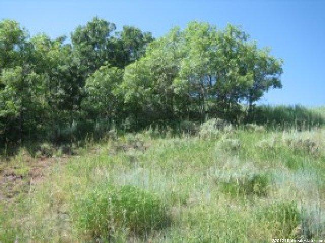 334 E Aspen Dr #95, Coalville, UT 84017 — photo 2