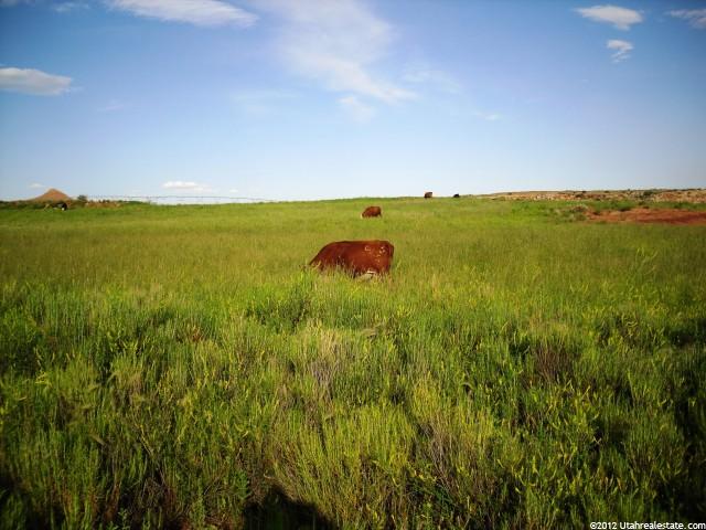 8300 E 6000 N, Lapoint, UT 84039 — photo 7