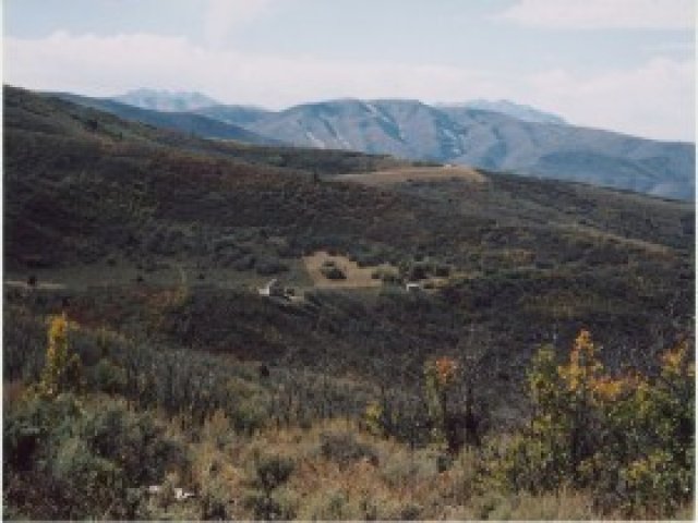 1897 S Beaver Bench Rd #1435, Timber Lakes, UT 84032 — photo 6