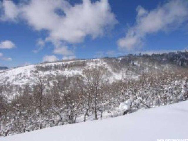 13 Red Hawk Ln #11, Park City, UT 84098 — photo 8