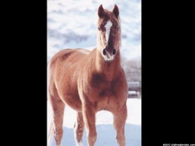 5957 N Triple Crown Trl #9, Oakley, UT 84055 — photo 10