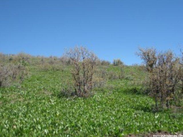 2967 S Forest Meadows Rd #145, Wanship, UT 84017 — photo 4
