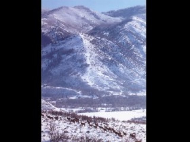 6046 N Maple Ridge Trl, Oakley, UT 84055 — photo 9