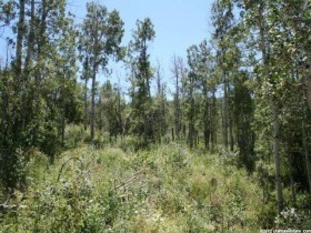 2211 Pine Loop #F-64, Wanship, UT 84017 — photo 2