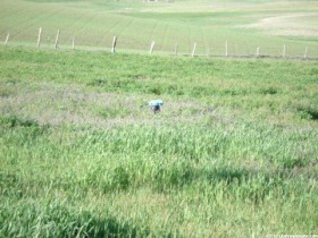 3206 Ovid Rd, Bern, ID 83220 — photo 4