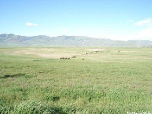 3206 Ovid Rd, Bern, ID 83220 — photo 5