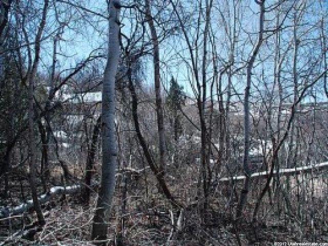 1655 S Beaver Bench Rd #1414, Timber Lakes, UT 84032 — photo 2