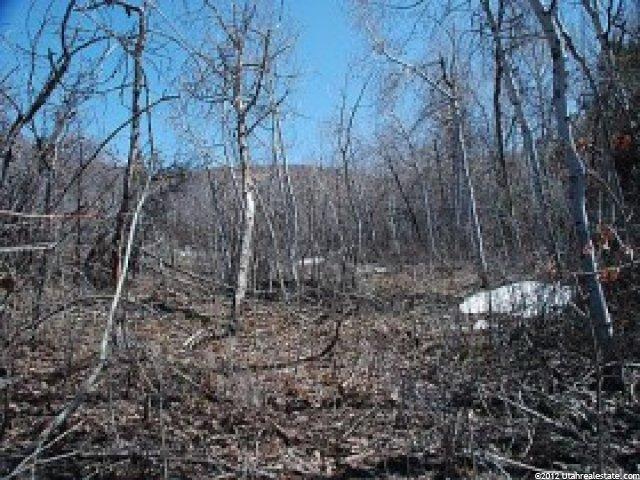 1655 S Beaver Bench Rd #1414, Timber Lakes, UT 84032 — photo 3