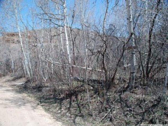 1655 S Beaver Bench Rd #1414, Timber Lakes, UT 84032 — photo 4