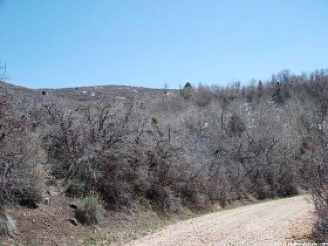 1655 S Beaver Bench Rd #1414, Timber Lakes, UT 84032 — photo 6