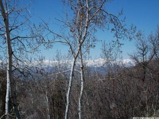 1655 S Beaver Bench Rd #1414, Timber Lakes, UT 84032 — photo 9