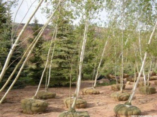 6522 Dry Fork Canyon Rd, Vernal, UT 84078 — photo 8