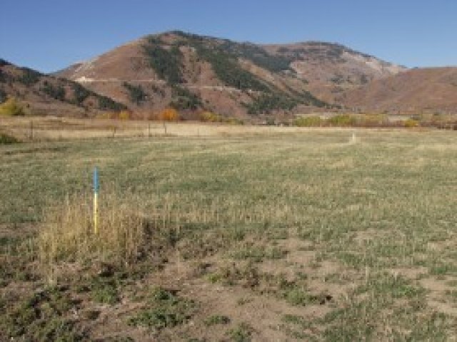 3503 N 3500 E #2, Eden, UT 84310 — photo 4