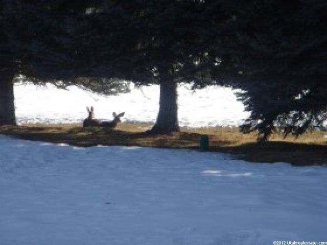 120 N Summit Dr E, Smithfield, UT 84335 — photo 10
