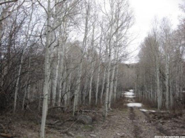 10325 E Short Cut Dr E ##1, Heber City, UT 84032 — photo 6