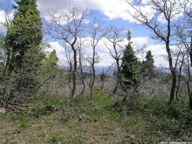 2590 Crow Loop #17, Wanship, UT 84017 — photo 2