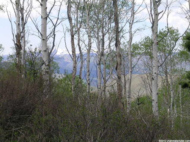 2590 Crow Loop #17, Wanship, UT 84017 — photo 3