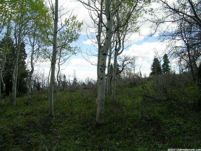 2590 Crow Loop #17, Wanship, UT 84017 — photo 4
