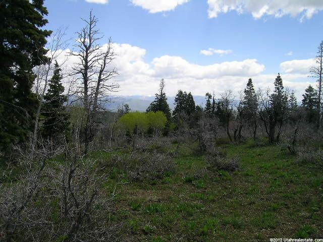 2590 Crow Loop #17, Wanship, UT 84017 — photo 5