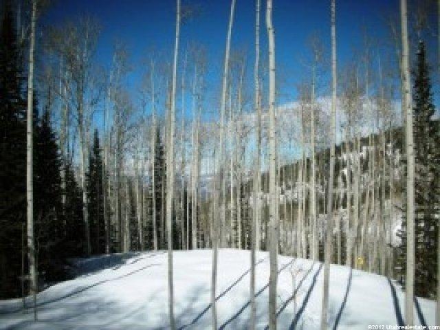 172 White Pine Cyn #172, Park City, UT 84098 — photo 4