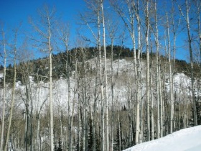 172 White Pine Cyn #172, Park City, UT 84098 — photo 7
