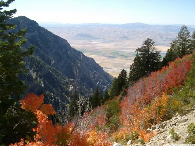 1 N Canyon, Mona, UT 84645 — photo 2